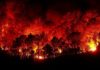 S požárem u Bordeaux bojuje 1100 hasičů, stále ho nemají pod kontrolou